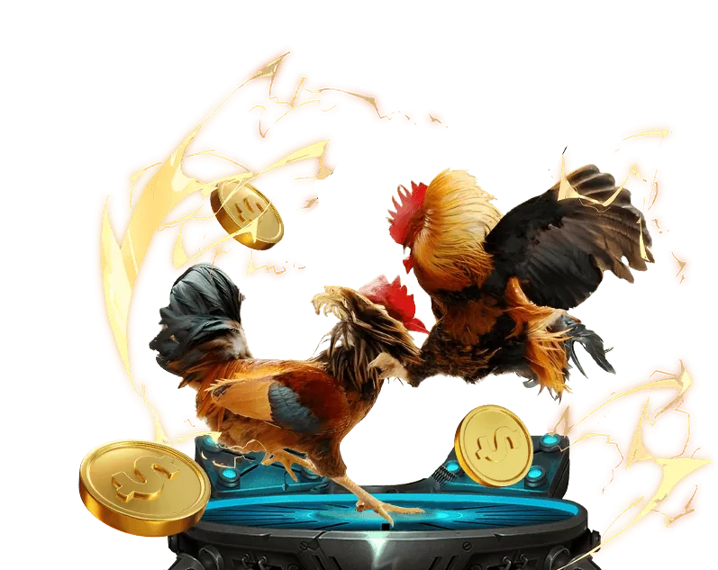 Đa dạng trận đấu đá gà